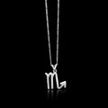 Astrological Symbol SCORPIO Silver Pendant, Healing Birthday Gift For Sister