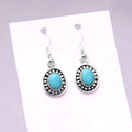 Charming Turquoise Silver Dangle Earring - Every Occasion Wear